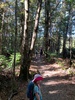 Butterfly creek walk in eastbourne. Juni managed it all the way! A happy walk for all.