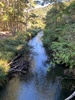 Butterfly creek walk in eastbourne. Juni managed it all the way! A happy walk for all.