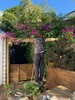 Bougainvillea gets an archway!