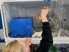 Millaâ€™s 8th SPCA partyâ€¦ everyone wants a kitten now.