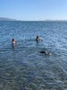 F&c dinner on the Petone beach