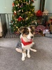 The lead up to Christmas…