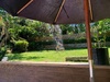 Summer in the backyard