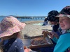 Last day of the holidays and it was stunning at days bay. Pizza lunch, swim, playing in the stream and finished with an ice cream. Bliss.