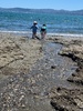 Last day of the holidays and it was stunning at days bay. Pizza lunch, swim, playing in the stream and finished with an ice cream. Bliss.