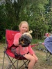 Oliveâ€™s birthday battlehill sleepover, lovely trees to climb, cooked marshmallows over the fire and 5 in the caravan for bed.