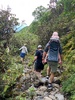 Walk on Mt Taranaki to the falls with the Thompsons.