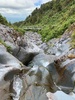 Walk on Mt Taranaki to the falls with the Thompsons.