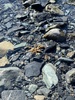 Walk down to the river and a much needed swim!