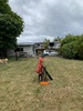 Coffee walk followed by backyard cricket. Oli got right into it.