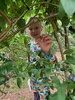 Blueberries forever picking in white mans valley. Delicious. Got 3kg for $44