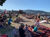 Dinner at oriental bay with the Turners. Stunningly warm! Summer at last!
