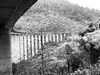 Ohakune getawayâ€¦ old coach road walk to the viaduct followed by high tea.