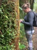 Ohakune getawayâ€¦ old coach road walk to the viaduct followed by high tea.