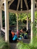 Tamariki nui session at the botanical gardens! Feeding the ducks, walk and leaf rubbing craft in the treehouse.