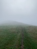 Up above the clouds on Mt Tauhara. TaupÅ