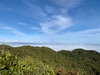 Up above the clouds on Mt Tauhara. TaupÅ