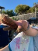 Juni discovering bubbles stick to sand!