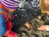 TN Petone beach this week, loved writing her name and finding & buried treasure.