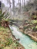 #LoveTaupo