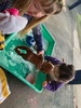KPC painting, cleaning and sand castles