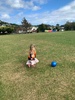 KPC Tamariki Nui: at Ben burn park, painting boxes and sliding down the hills, ball and parachute play.