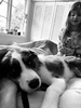 Lead training with my side kick. Zobe also got cuddles on the bed.