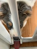 Trying to escape