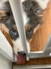 Trying to escape