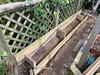 Finally made my poppies planter all by myself and with the help of Zorro