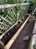 Finally made my poppies planter all by myself and with the help of Zorro