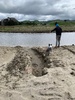 We took a day trip to check out riversdale on Sunday… a bit cold but that didn’t stop Zorro and the kids enjoying the beach.