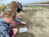 We took a day trip to check out riversdale on Sunday… a bit cold but that didn’t stop Zorro and the kids enjoying the beach.