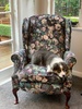 King Louis