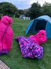 A 24 hour Kaitoke camping trip. Solar all worked really well! Zorro had a ball meeting lots of people and a few dogs.