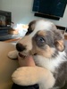 He is delightful….
