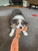 He is delightful….
