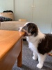 He is delightful….