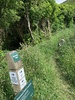 Zobie walk up behind Ngaio playcentre up to the crows nest (meets the skyline) amazing views!