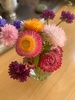 Juni’s flowers from her garden