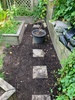 We demolished our front planters… a bit sad. Managed to save most of the plants and are reusing the soil.