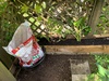 We demolished our front planters… a bit sad. Managed to save most of the plants and are reusing the soil.