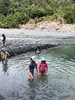 A sunny Saturday with swimming in the morning and then fire with marshmallows and more swimming in the afternoon.