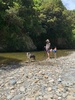 Morning swim in the river