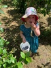 Blueberry fields forever picking! 4kg! $22kg!