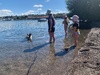 Zorro just couldn’t help himself on our short walk to the cafe, he needed a swim…