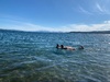 More cousins join us at Taupo for sneaky f&c for dinner.