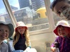 A ferry trip to days bay! Beach and pizza in the warm sun.