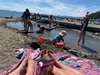 A ferry trip to days bay! Beach and pizza in the warm sun.