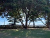 A ferry trip to days bay! Beach and pizza in the warm sun.